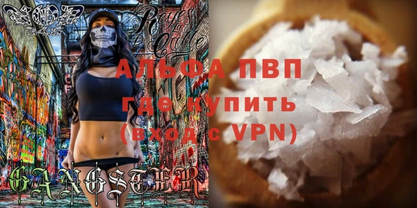 сатива Елизово