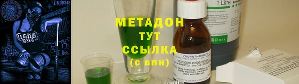 индика Заводоуковск