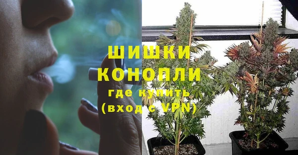 индика Заводоуковск