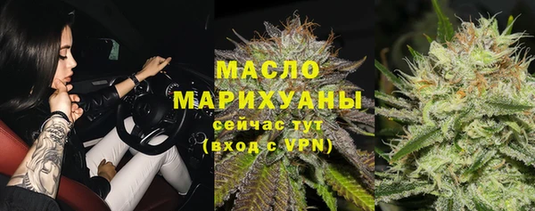 индика Заводоуковск